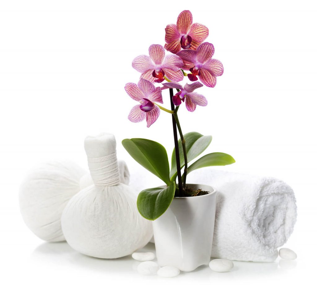 Best Salon & Spa in Hyderabad